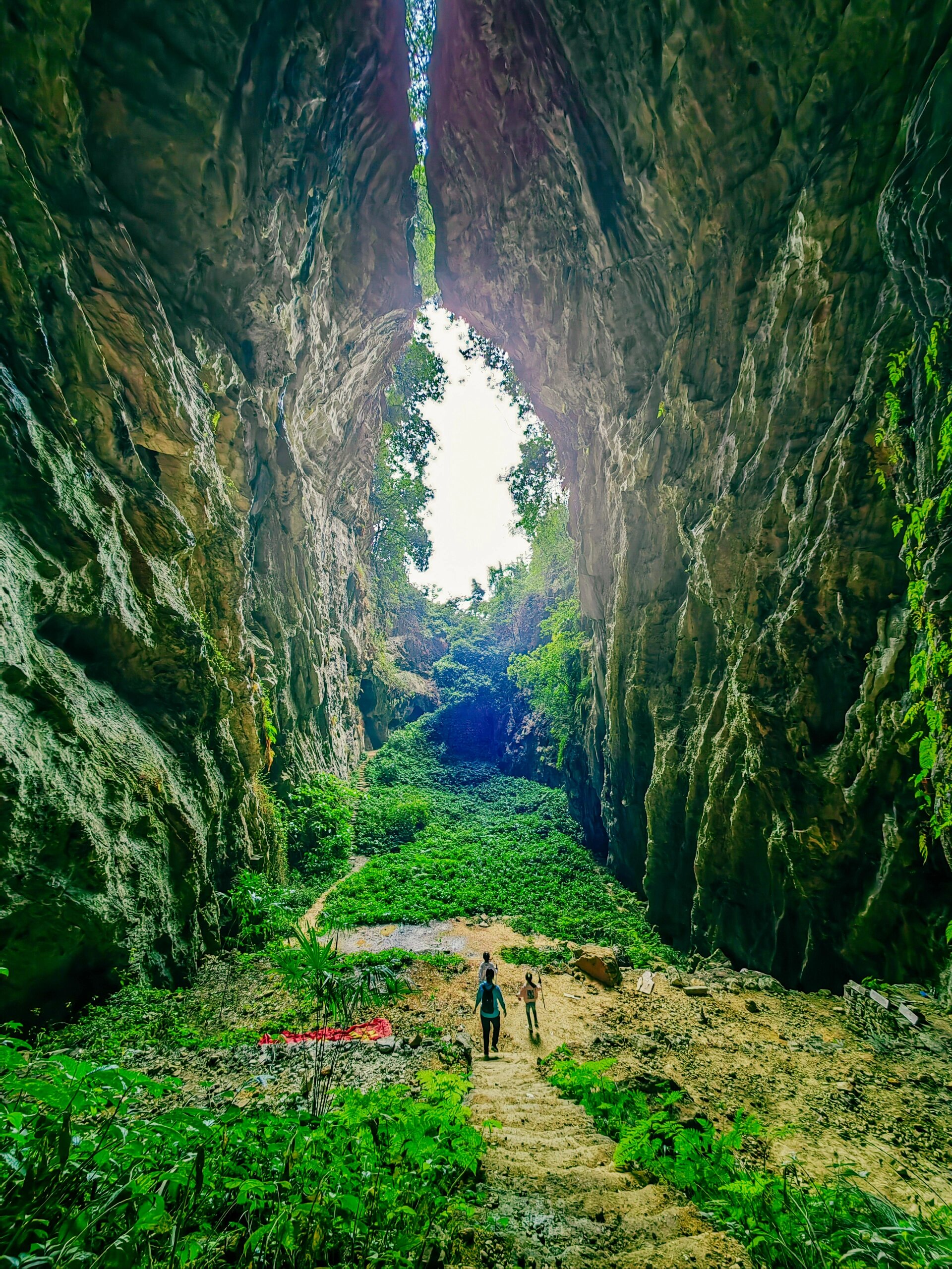 别有洞天!神秘的北碚周家凼天坑