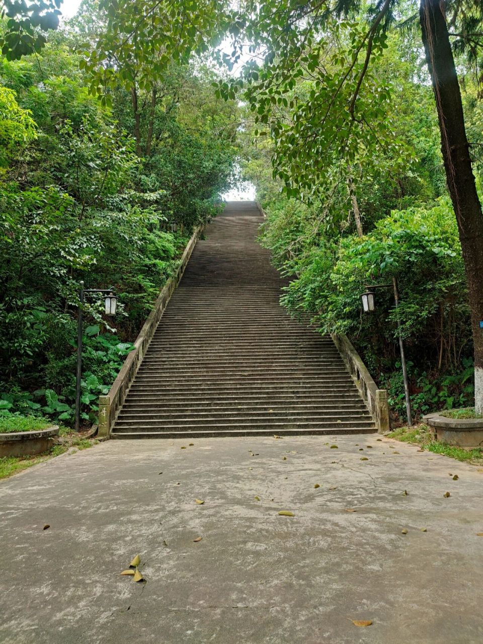 恩平鳌峰山公园图片