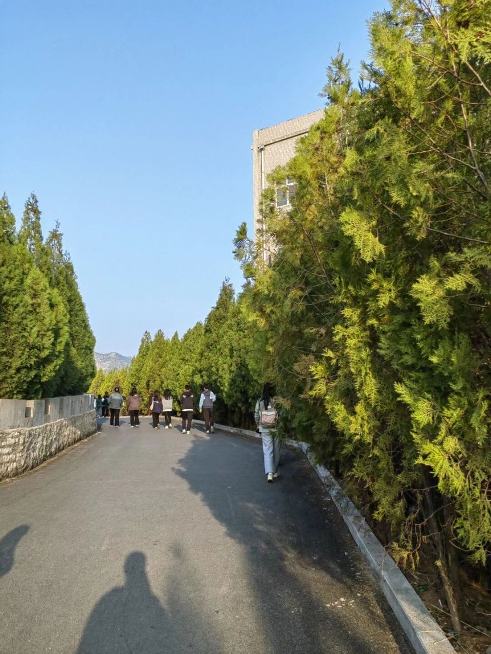 潍坊理工学院校园环境(青州校区) 随手拍的姐妹们随便看一下 p6-8