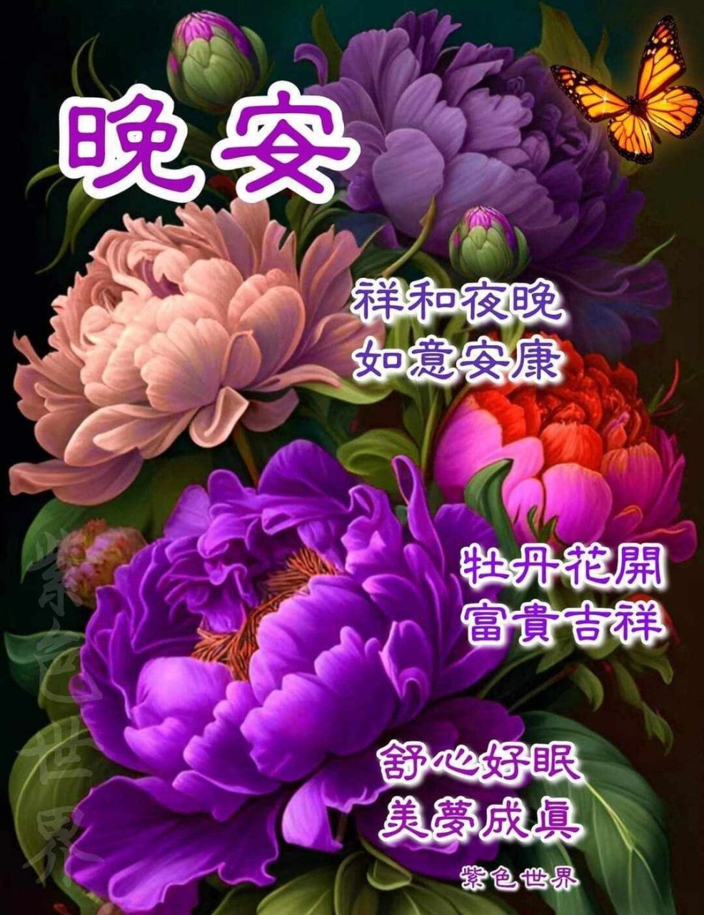 晚安花朵图片大全图片