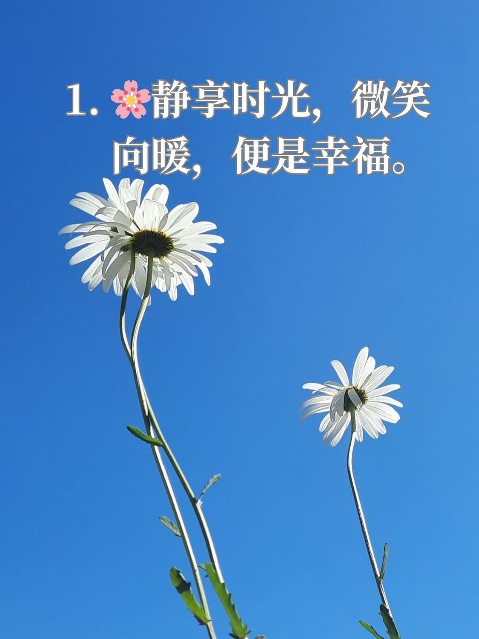 女人淡然心静唯美句子励志 1. 94静享时光,微笑向暖,便是幸福. 2.