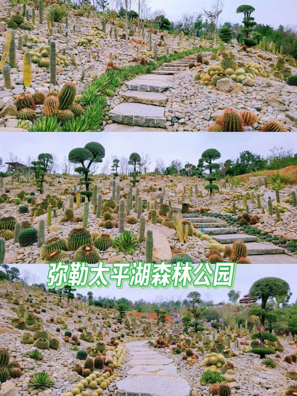 昆明周边弥勒两日游之太平湖森林公园 接上一篇:弥勒东风韵景区弥勒第