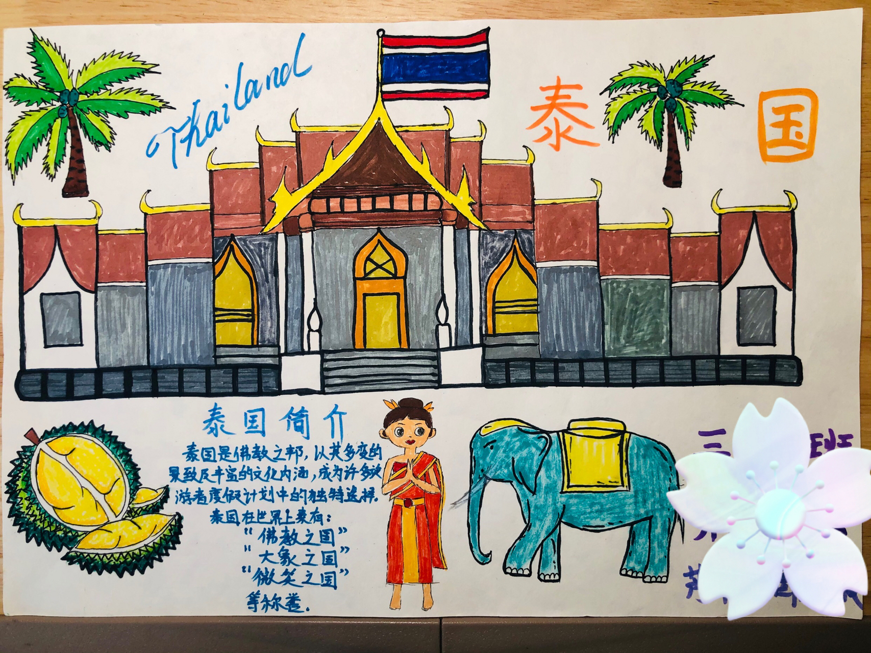 泰国主题手抄报 这年头当个家长太难了 这榴莲我画的可还行?