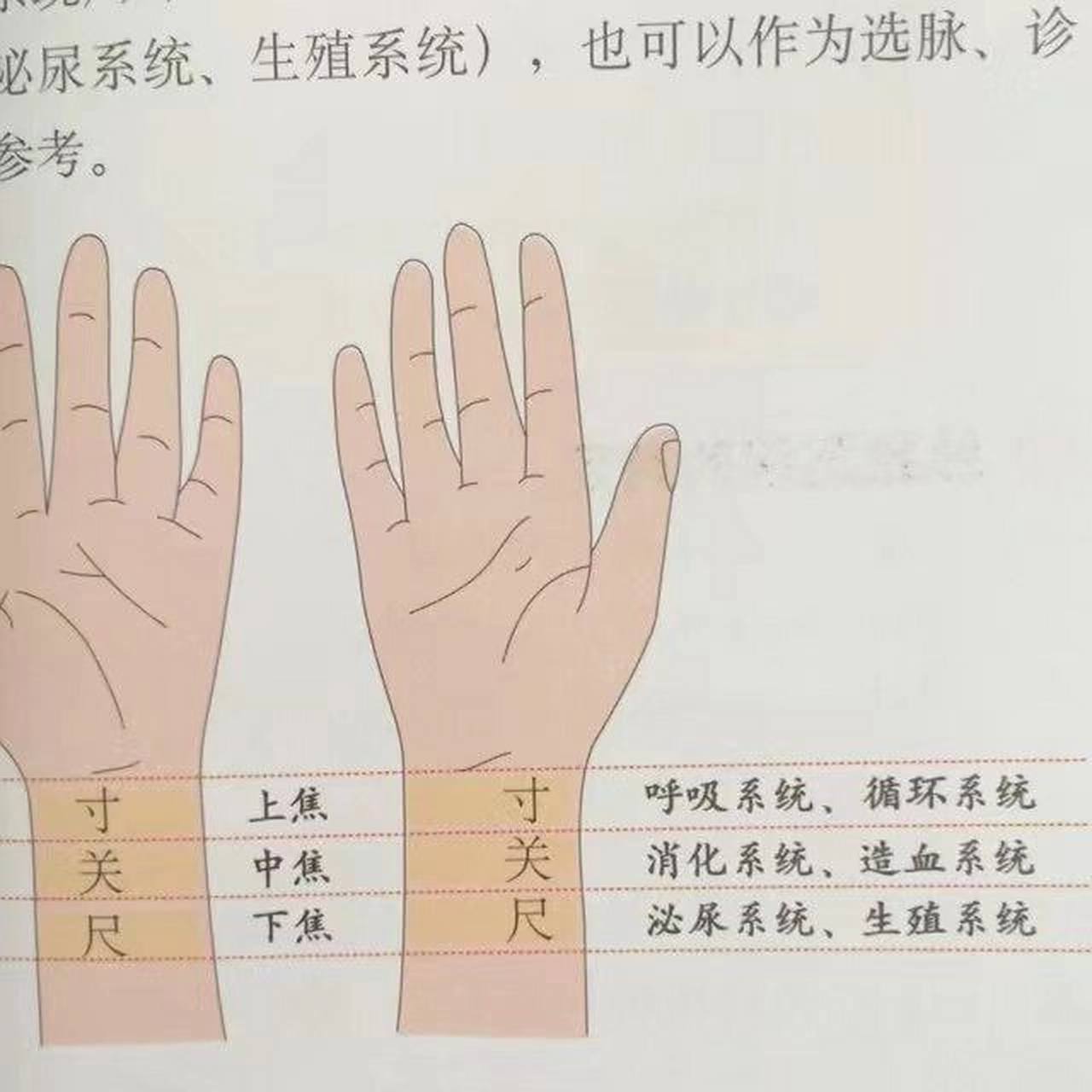 71如何把脉? 71怎么把脉才能感觉脉象?