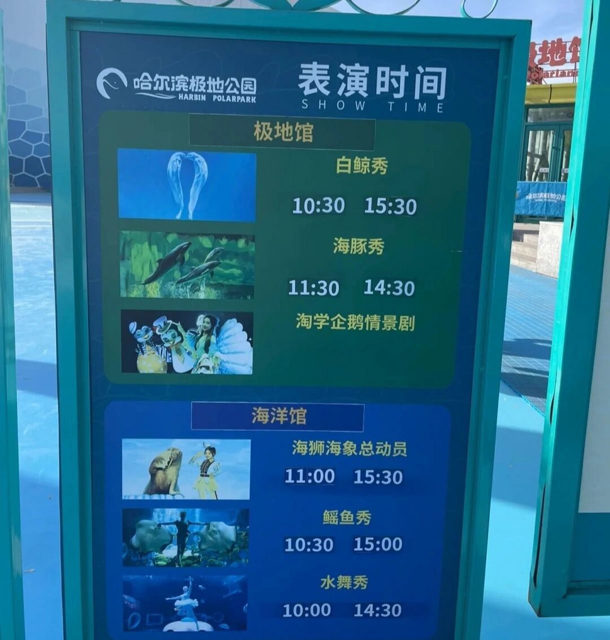哈尔滨极地馆 海洋馆看表演全攻略 两个馆总共是5个表演,一天时间还是