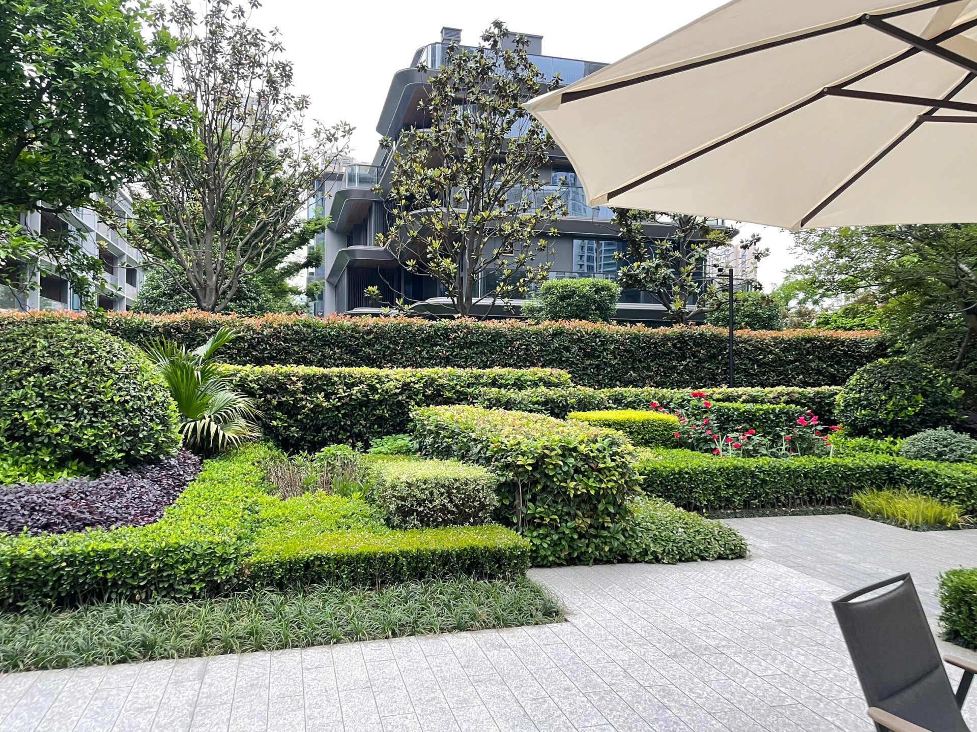 植物搭配—规则式种植|绿篱带