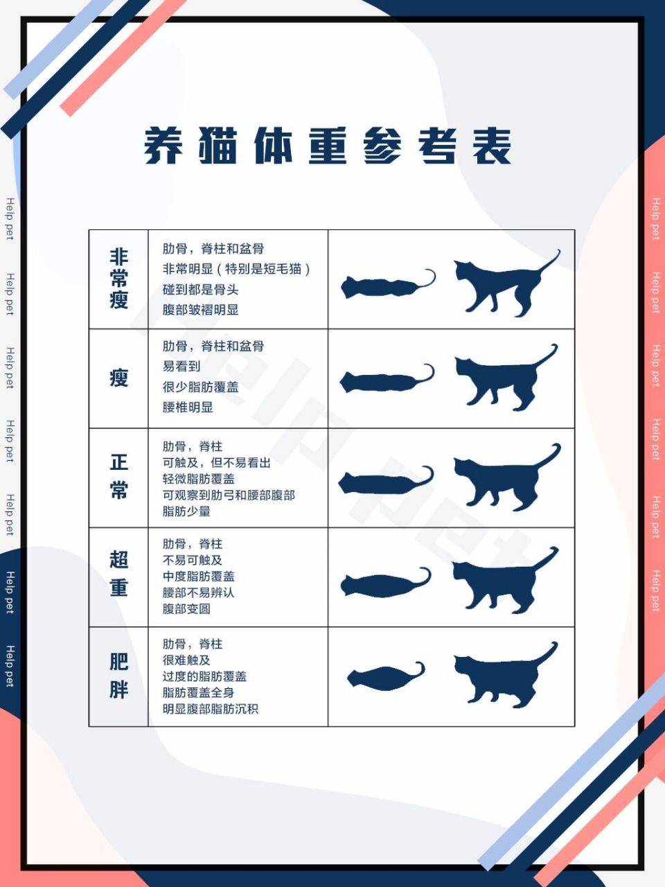 猫的胖瘦参考图图片