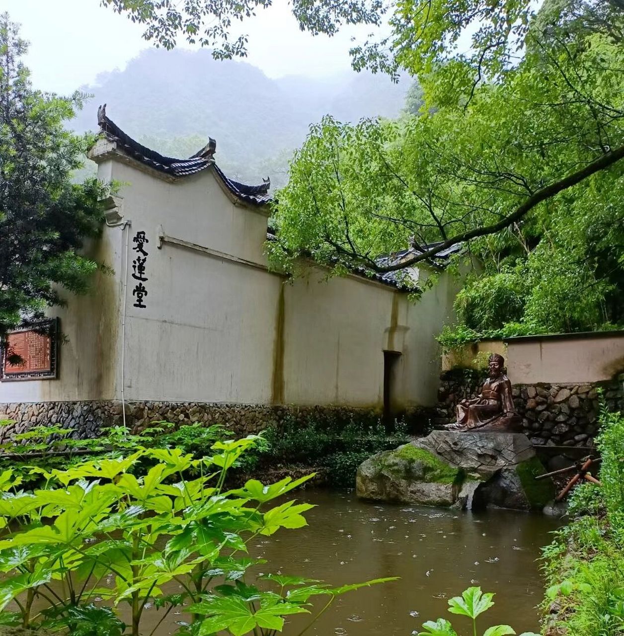 游箬寮原始林 我是第一次听说箬寮这个地方,箬寮原始林景区其实是丽水