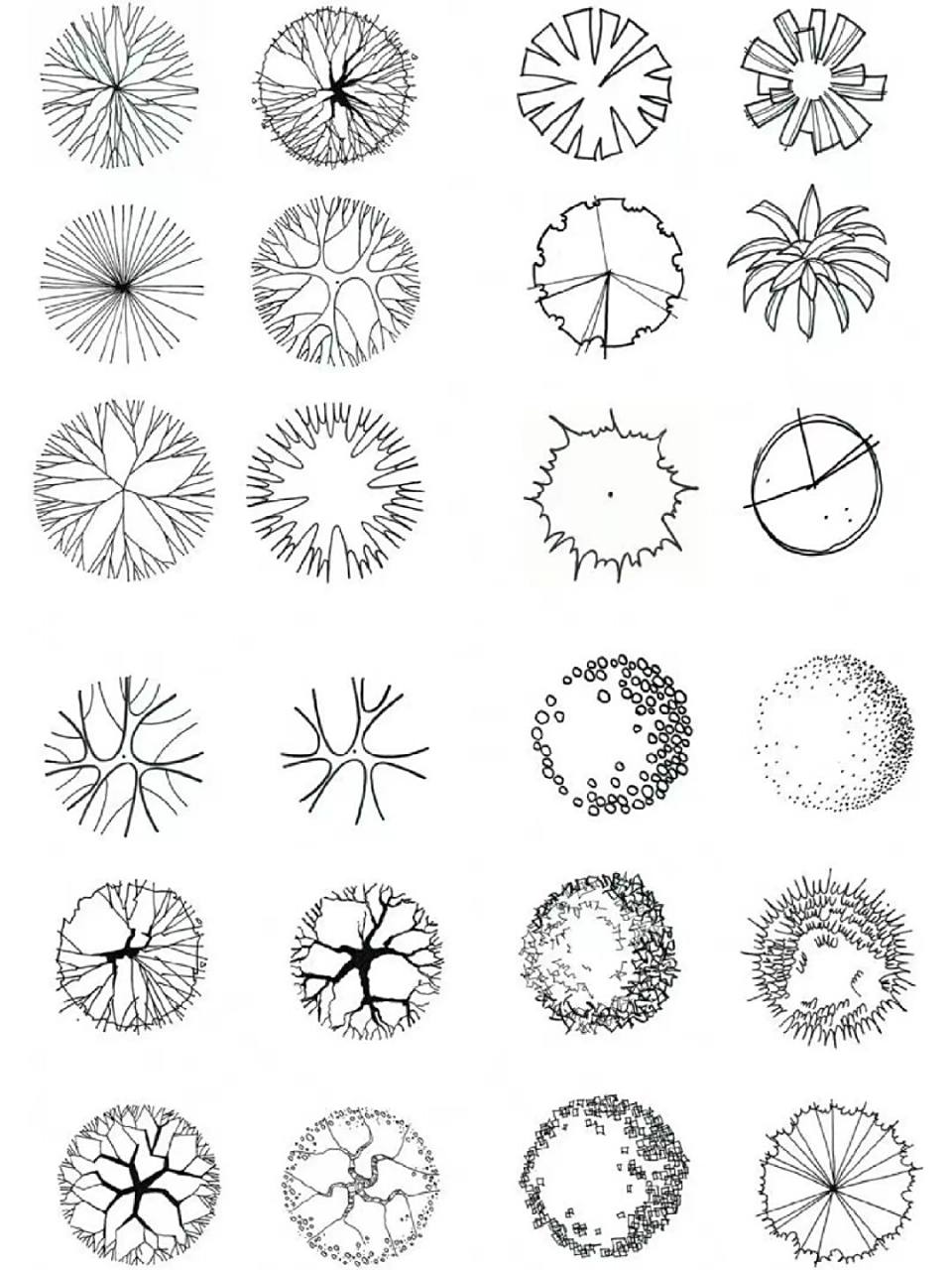 平面树画法,快题必备 平面树的画法,赶紧收藏用上