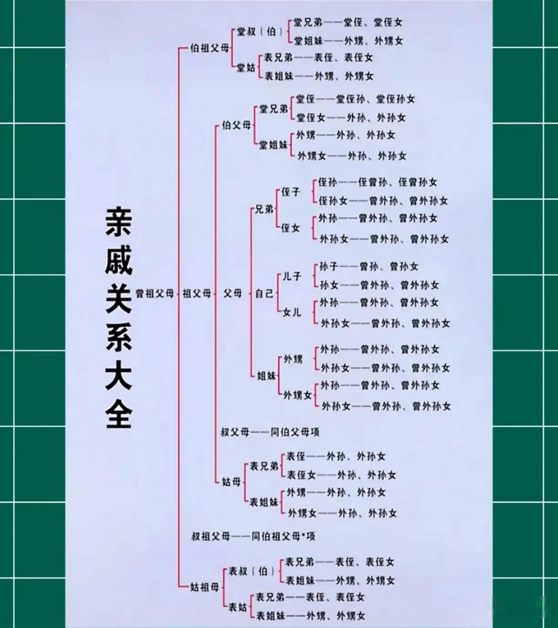 婚姻关系