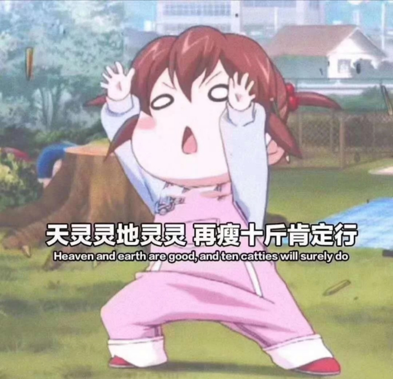 减肥,不瘦十斤不换头像 今天少吃一粒米,明天你就是美女