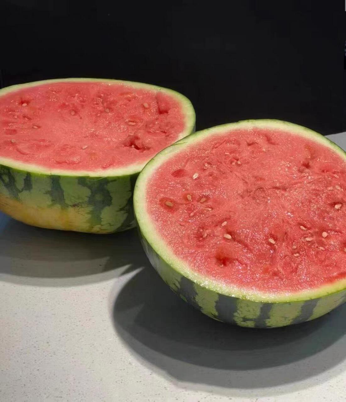 91想要品尝最地道的麒麟西瓜吗?来我们这里就对了!