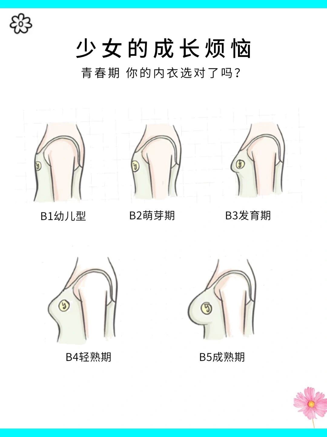 青春期少女必看内衣指南胸部发育别害羞