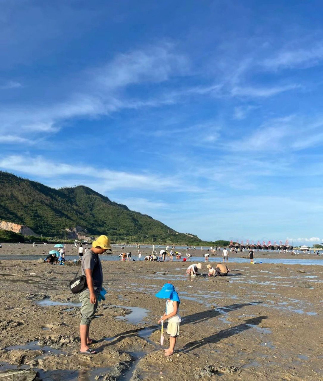 惠州大亚湾小桂赶海攻略 惠州小桂湾|刷爆朋友圈的免费赶海宝藏地 二