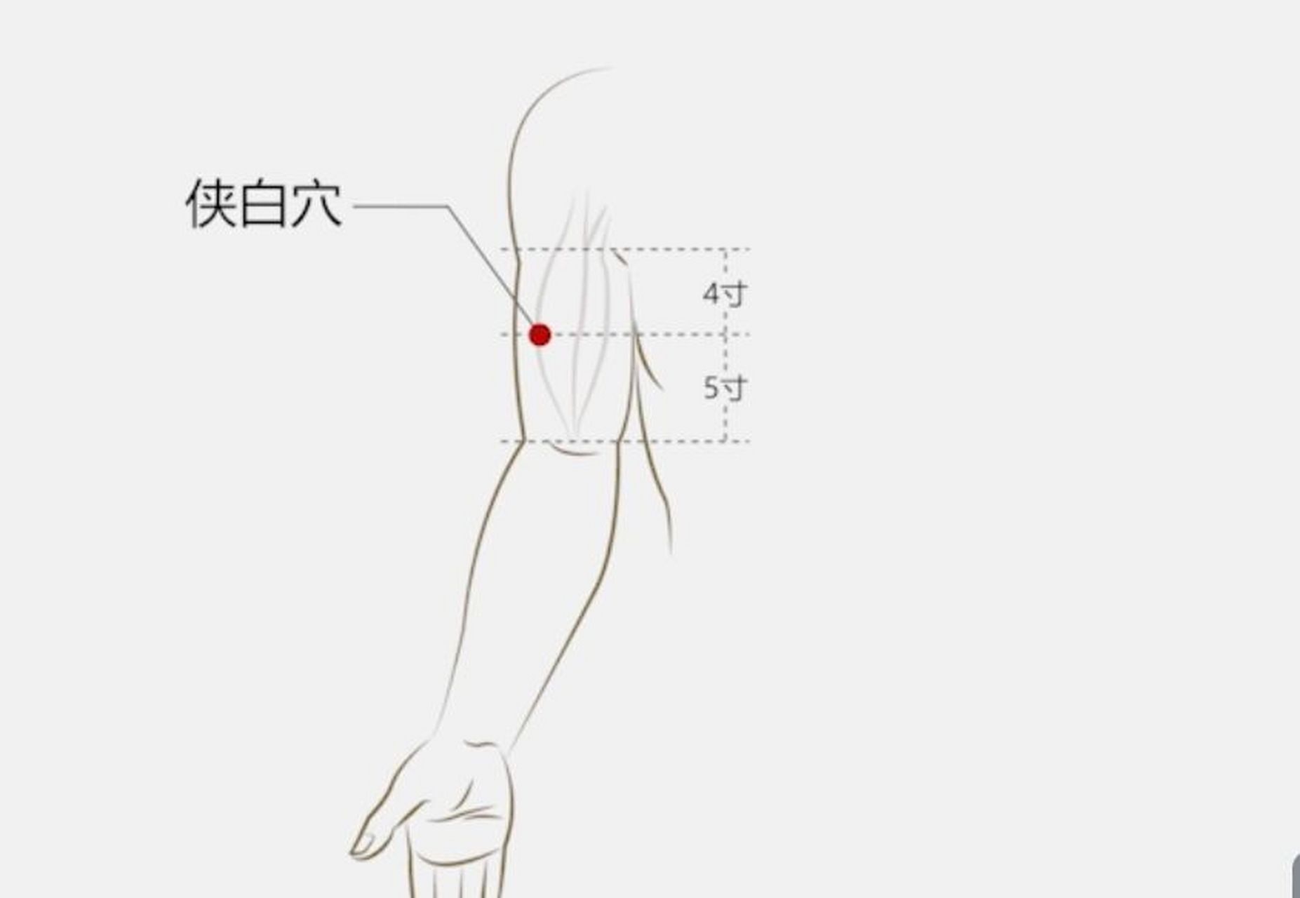 侠白的准确位置图片