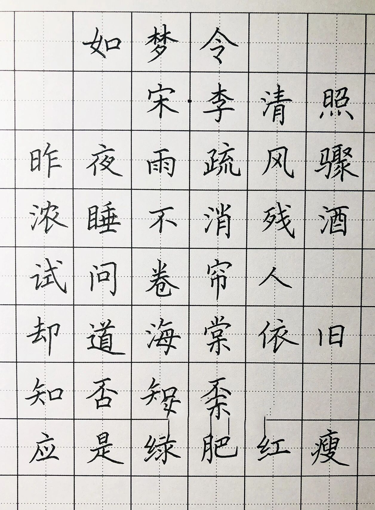 手写丨硬笔楷书 李清照《如梦令