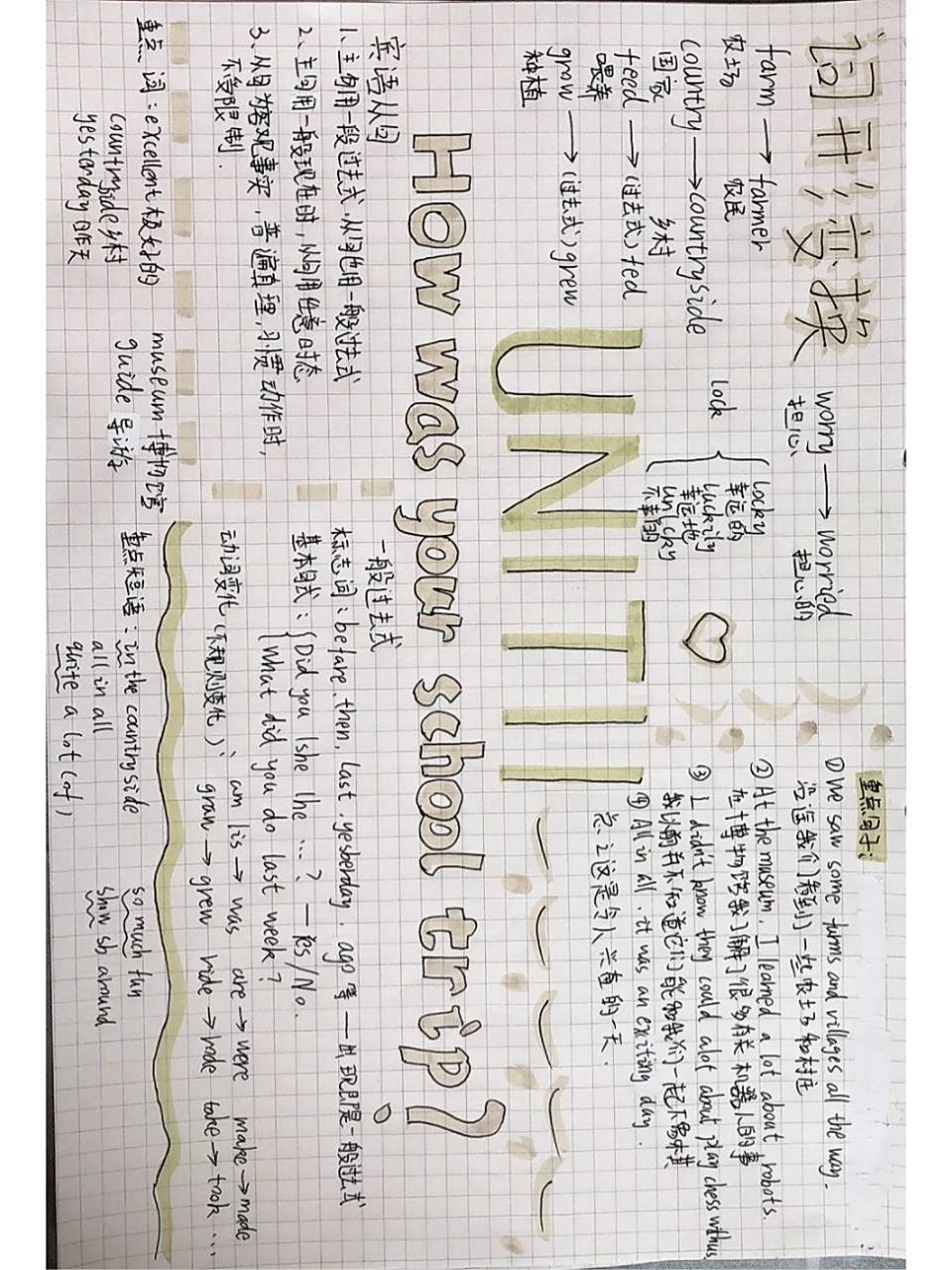 人教版七年级下册英语unit11思维导图