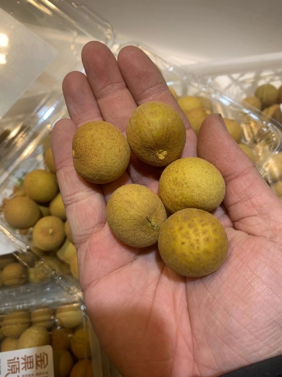 金果源泰国9593龙眼～xl尺寸 金果源泰国9593龙眼～ xl尺寸