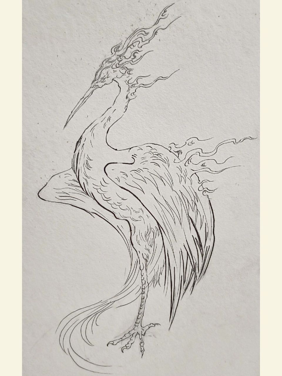 山海经异兽"毕方"线稿临摹      毕方是中国古代神话中的形象,生活在