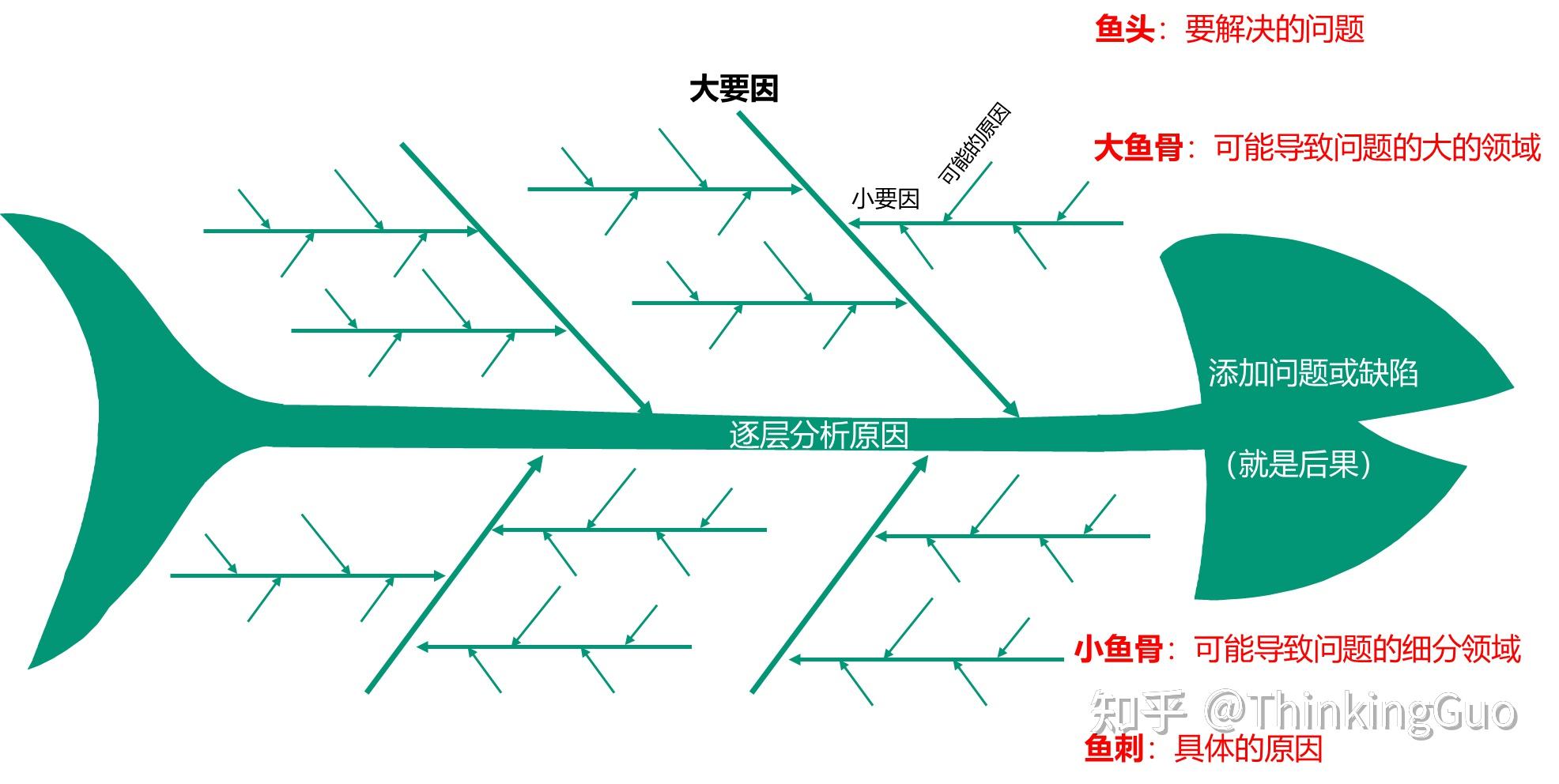 鱼骨结构模型图片