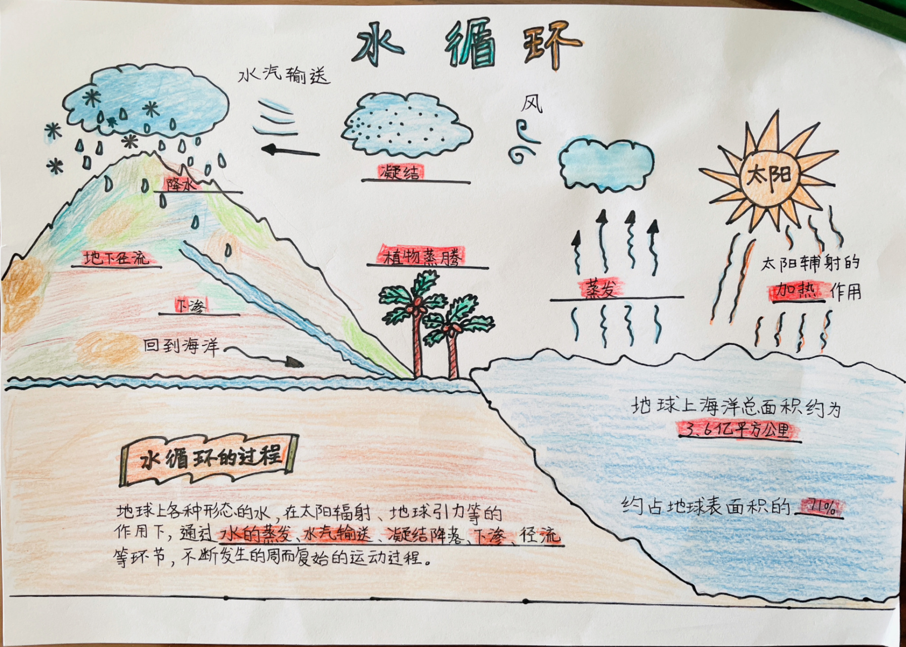 三年级上 科学课期末测评 手抄报 交完这份作业,算完工了吧.