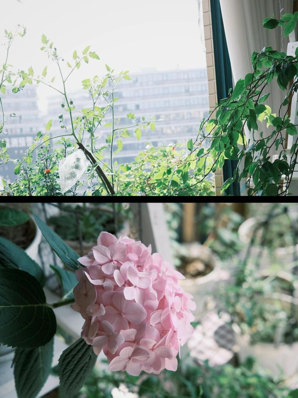 960_1280竖版 竖屏