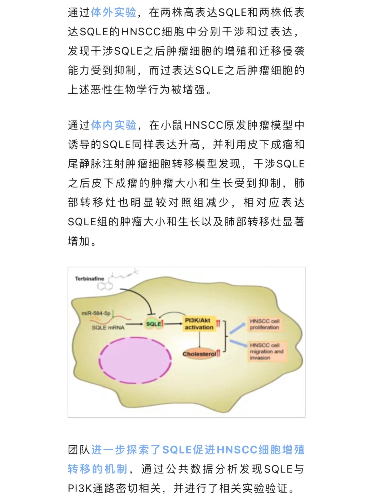 头颈鳞癌图片