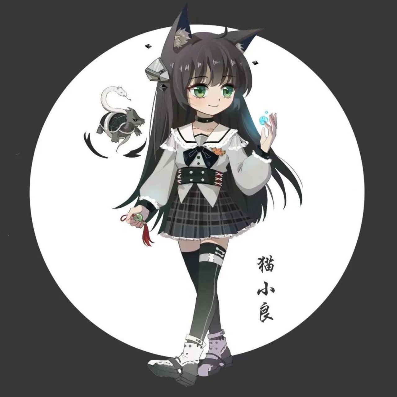 奇喵君新形象!猫七夜之魔龙重生(猫小良!