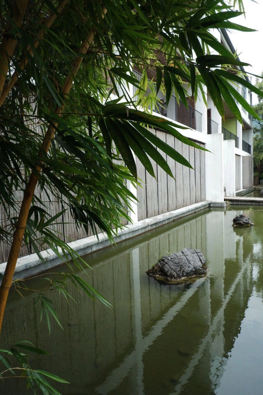 在清远|桃源山居的向野生活94 清远游玩野奢攻略7215桃源山居的