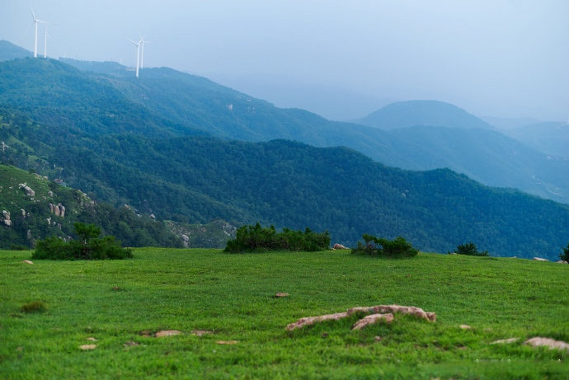 体验# #城市巡游记# #美丽中国美好生活# 潍坊临朐沂蒙坝上云中草原