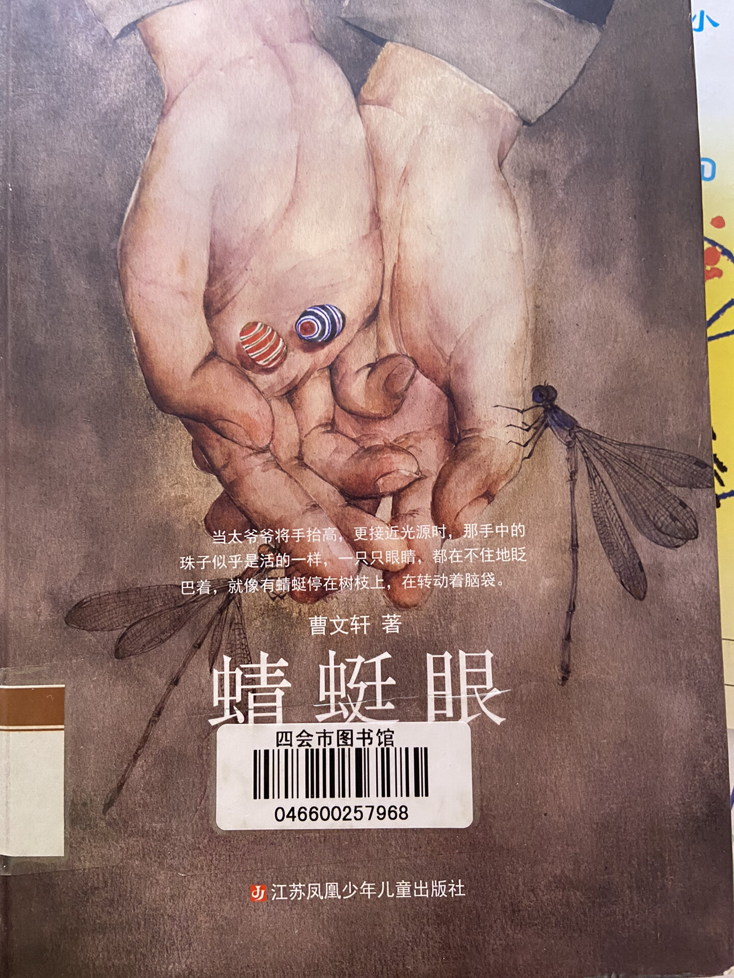 二年级 寒假作业 《蜻蜓眼》读后感 本来想写《假如