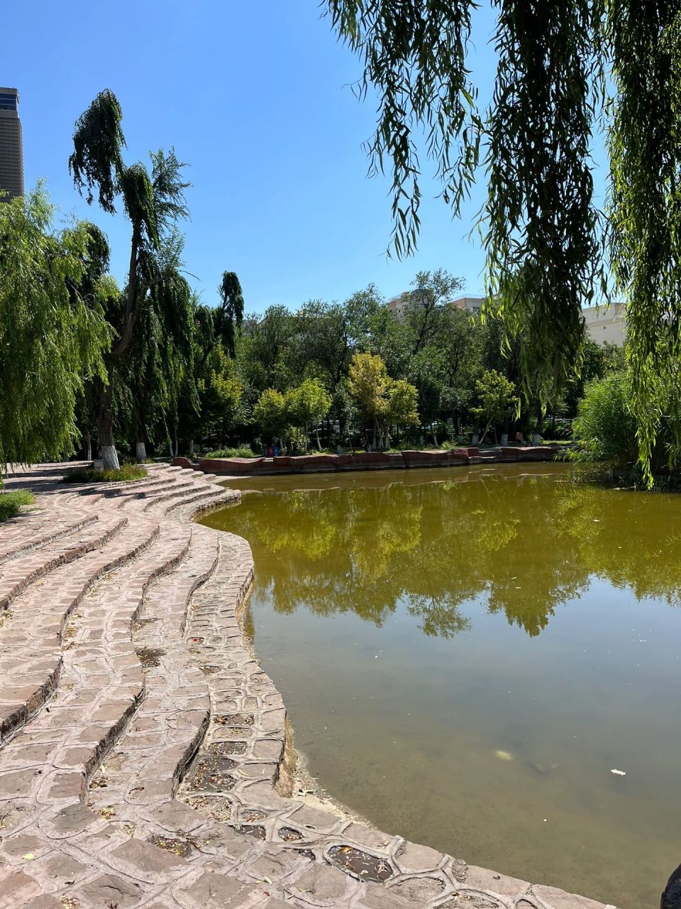 乌鲁木齐南公园图片