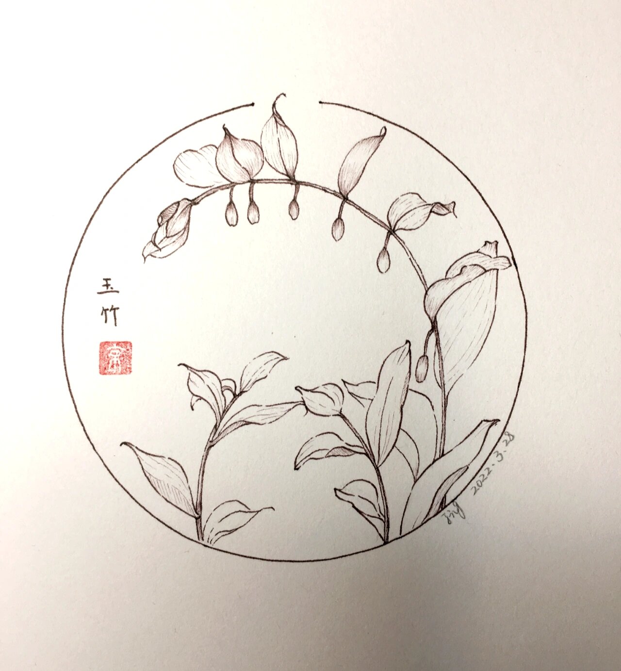 各种植物的画法图片