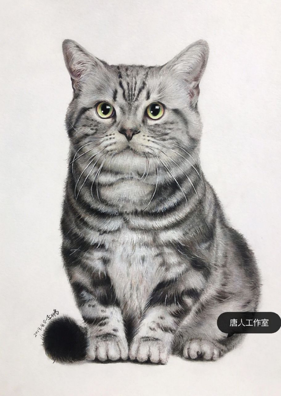 彩铅61猫 4年前画的一个小猫咪,还有很多不足的地方,相信再画的时候