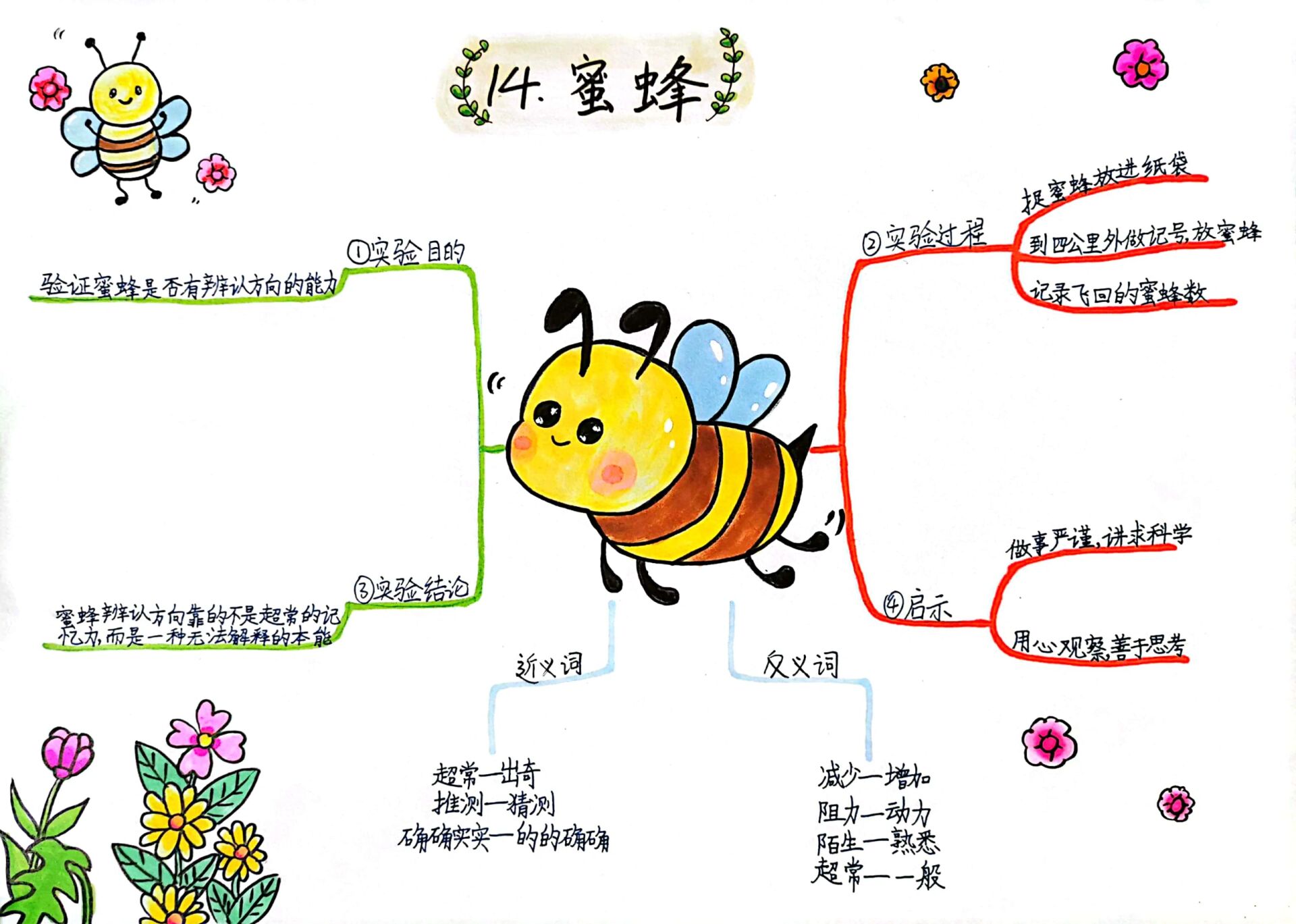 三下语文 蜜蜂思维导图@先立志后立身的动态