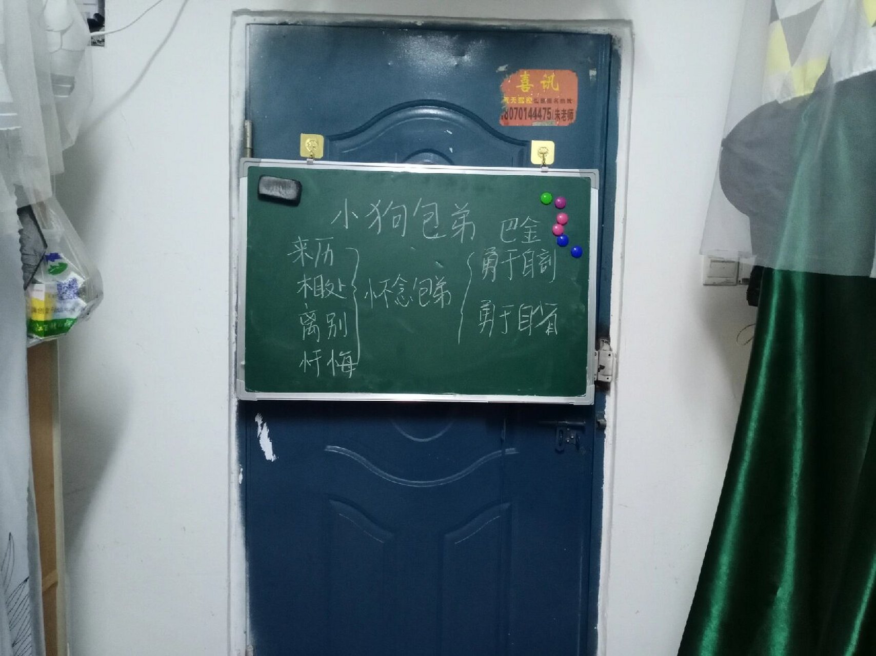 教资面试打卡第61566天|小狗包弟教案板书 教案我是根据找到的