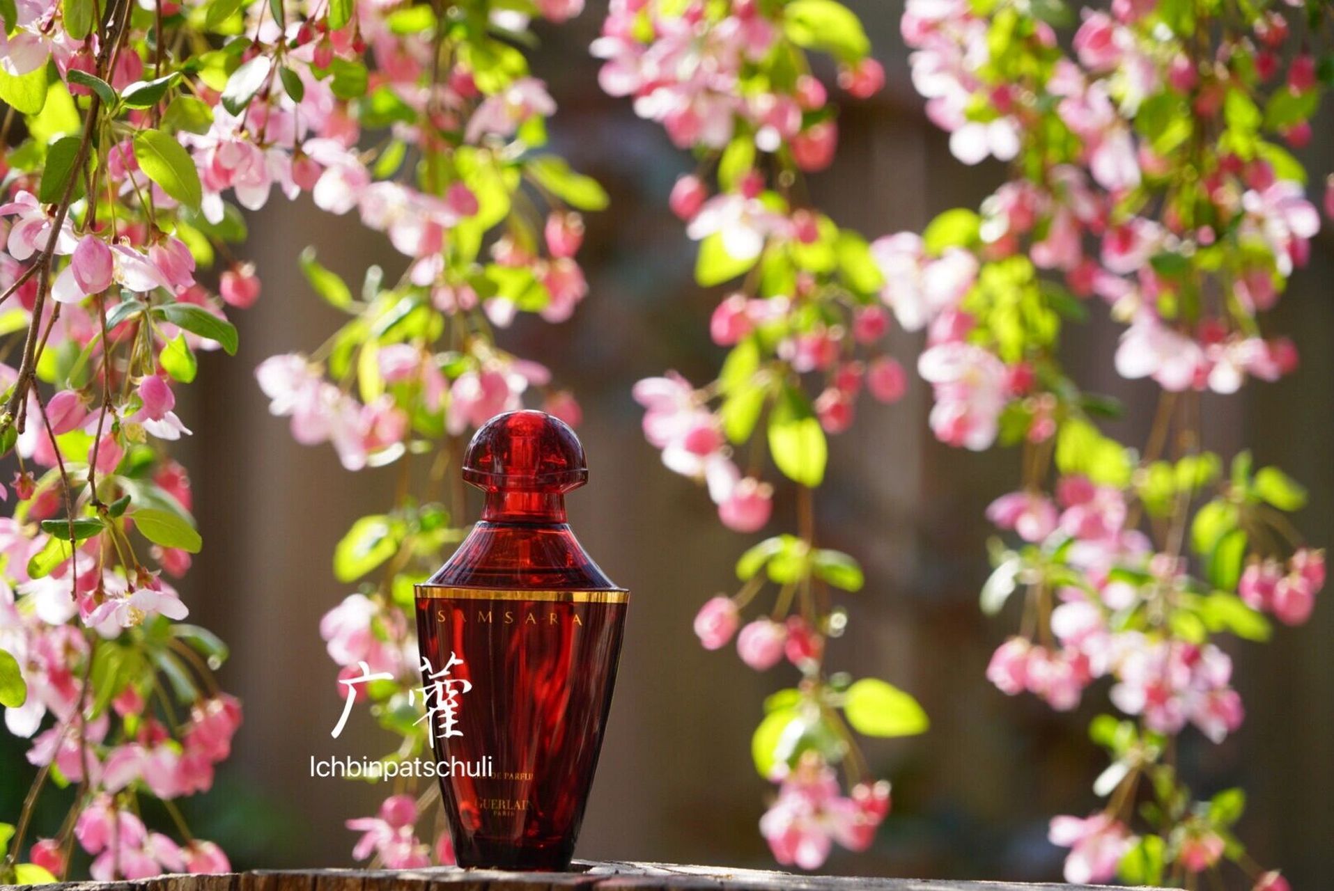 广藿穿香|娇兰 samsara 轮回 #香水# #娇兰# 今天用一支老香,还是大学