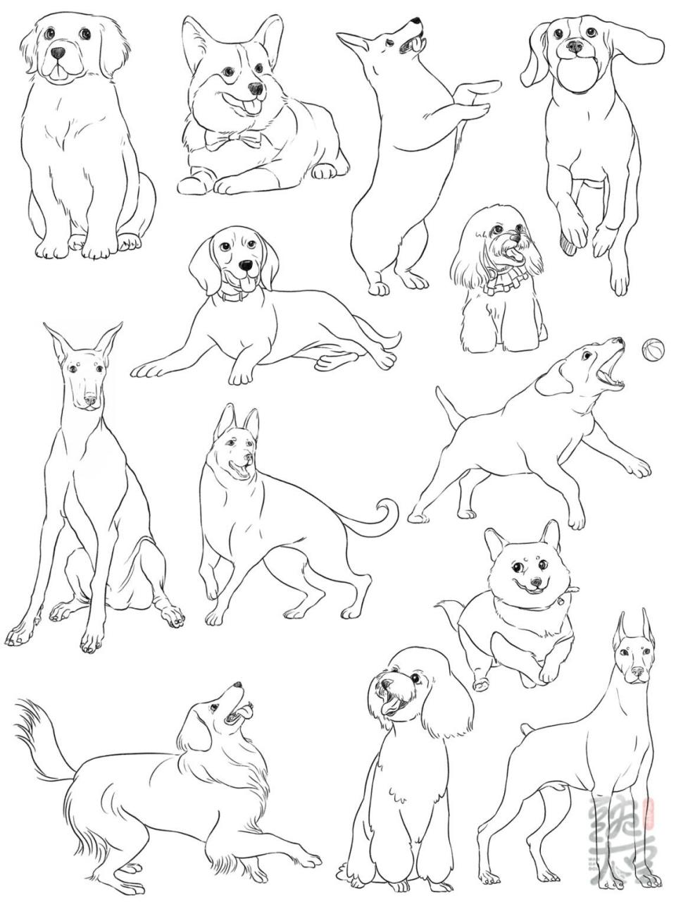 画画的日常# #笔记灵感# 一堆可爱的狗子 #速写打卡# #狗狗速写