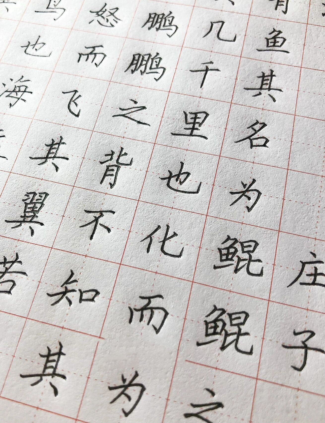 手写丨硬笔楷书 《逍遥游·北冥有鱼