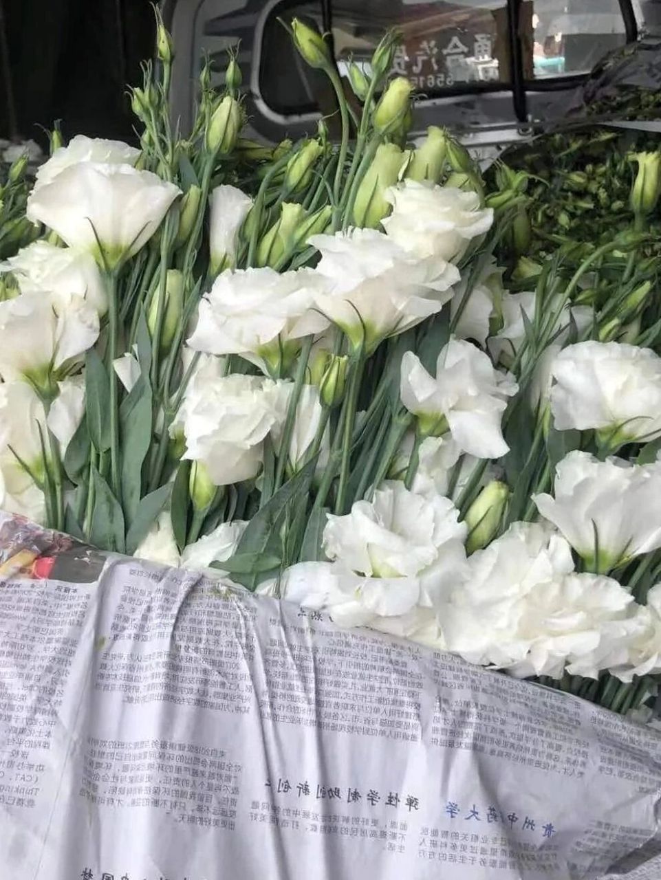 有一种花叫洋桔梗 另一个名字叫"无刺玫瑰 洋桔梗因为长得像玫瑰95