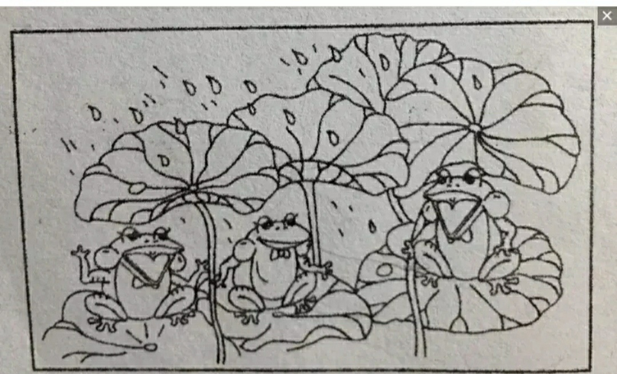 看图写话 青蛙躲雨 荷叶伞 夏天的午后,几只小青蛙在散发着淡淡的香气