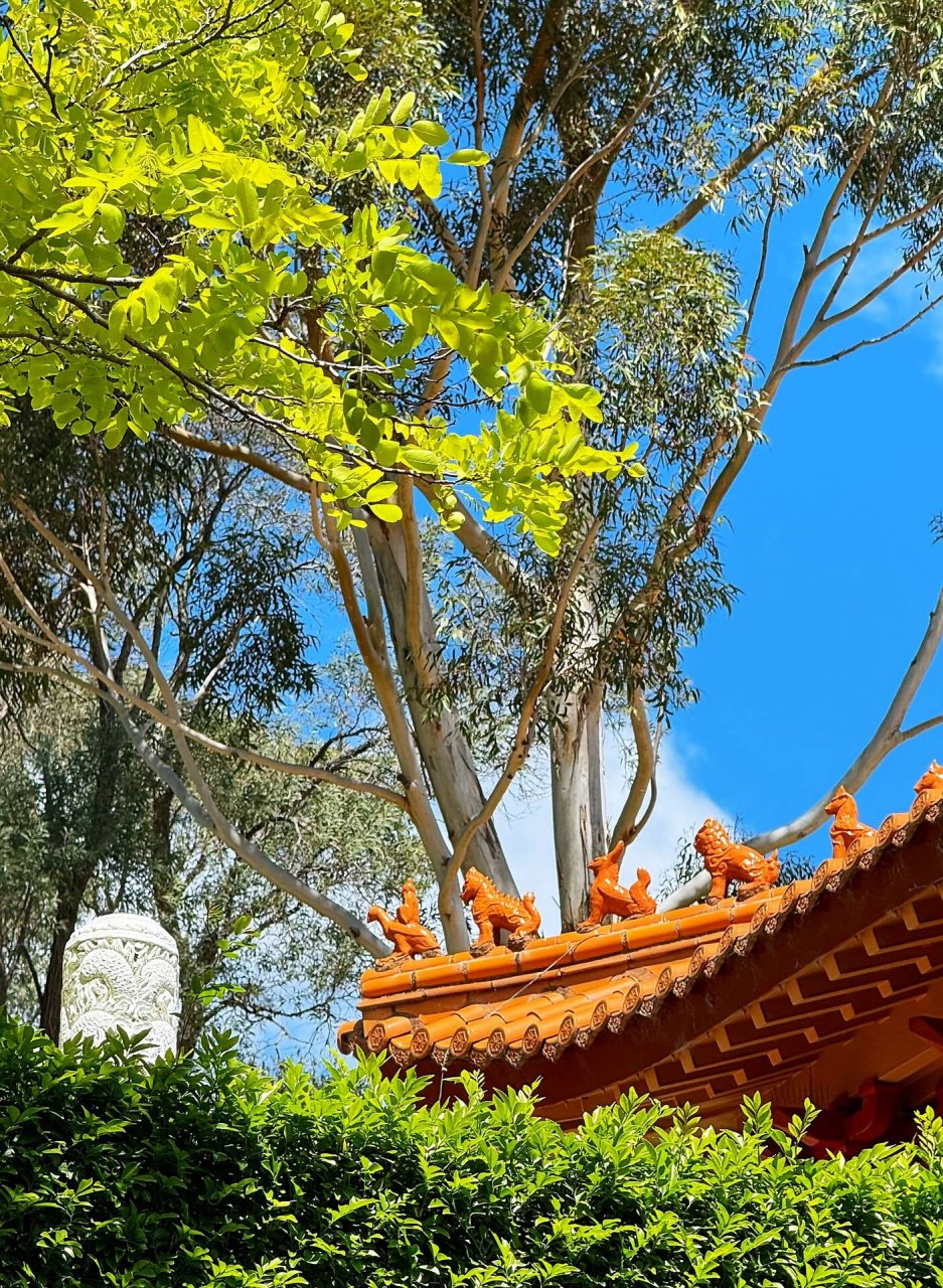 南半球最大佛寺 南天寺92 南天寺位于悉尼隔壁的卧龙岗 	 在central