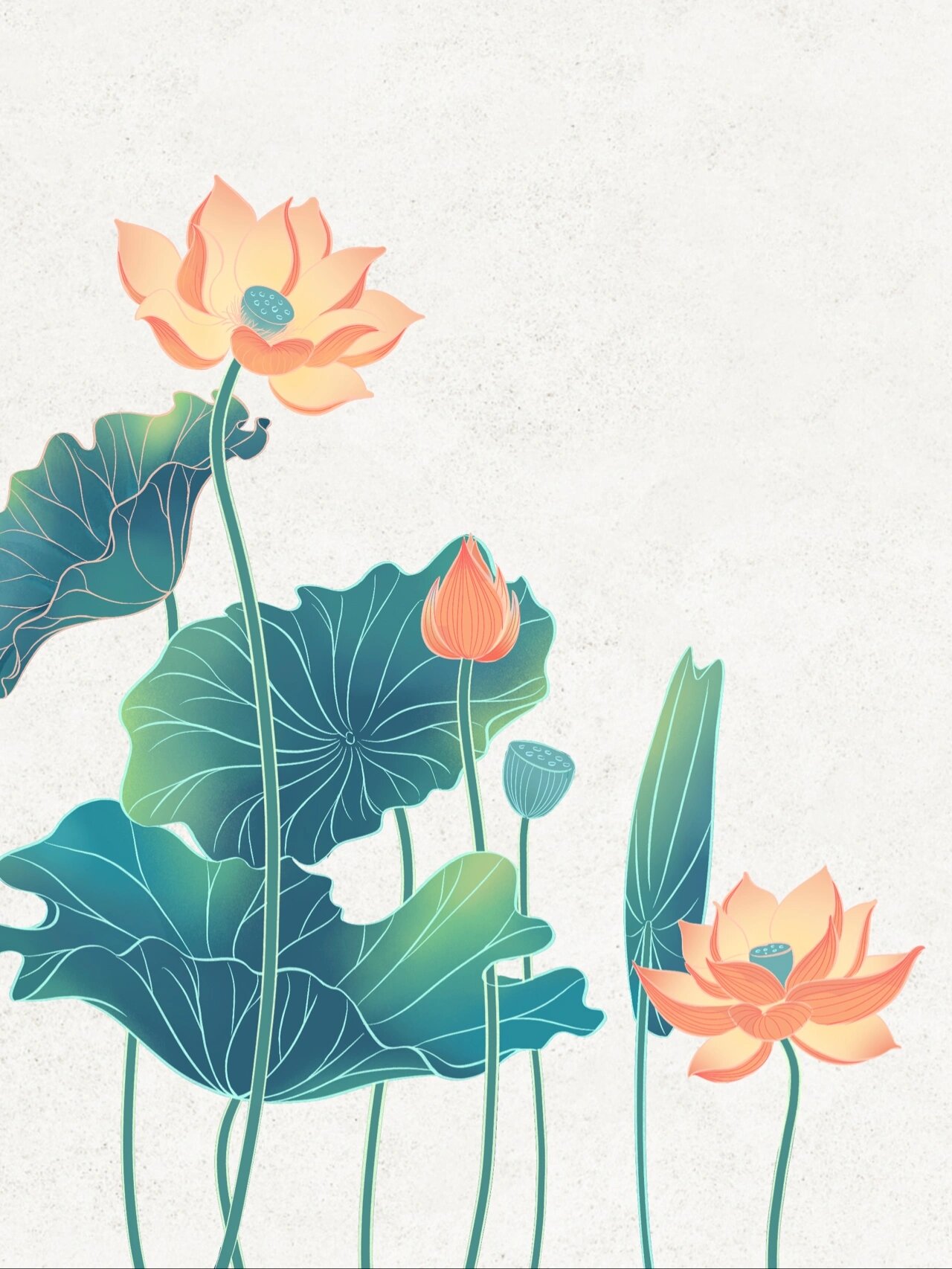 国风|荷花绘画步骤分享 试水绘画步骤分享～ 如果没人看之后可能不做