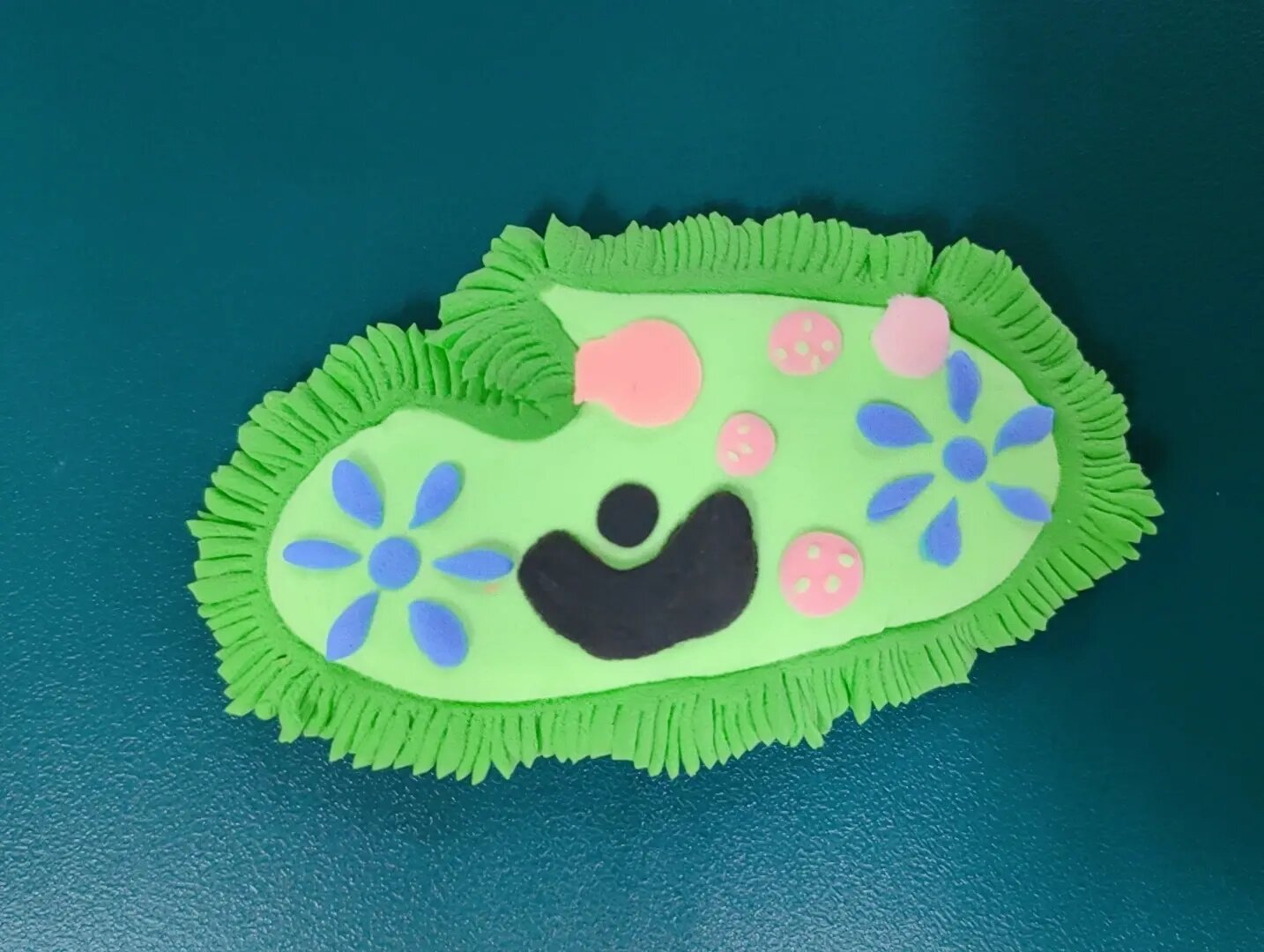 初中生物—草履虫模型制作