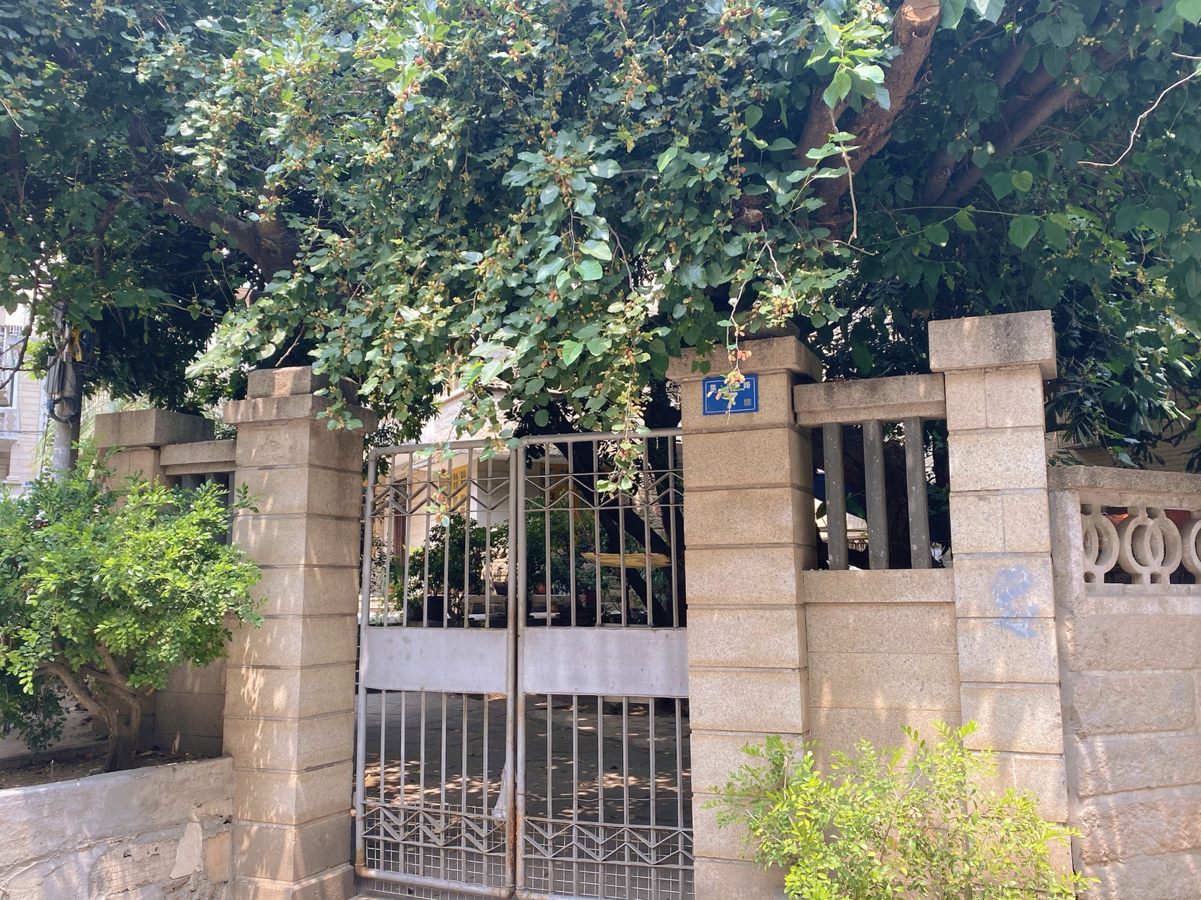 发觉眼前的房子很眼熟,原来是一起来看流星雨楚雨荨的家.