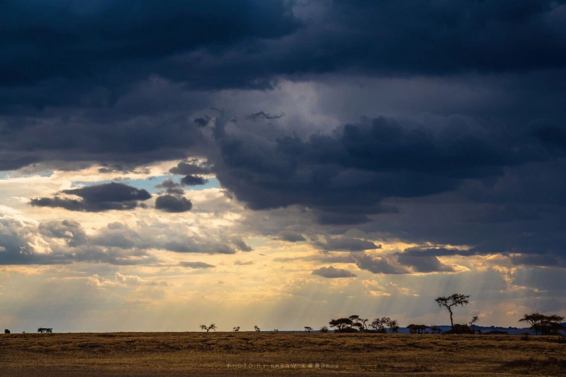2|塞伦盖蒂大草原 塞伦盖蒂大草原是非洲最大的野生动物保护区之一