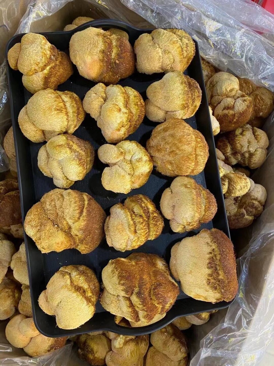 精选无硫东北特级猴头菇 💰108元一斤🉐包邮 年老体弱者食用猴头