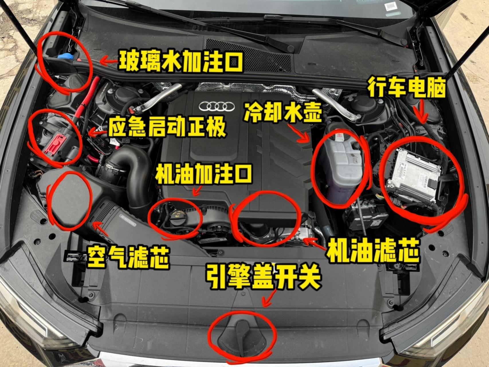 奥迪s4冷却液位置图片