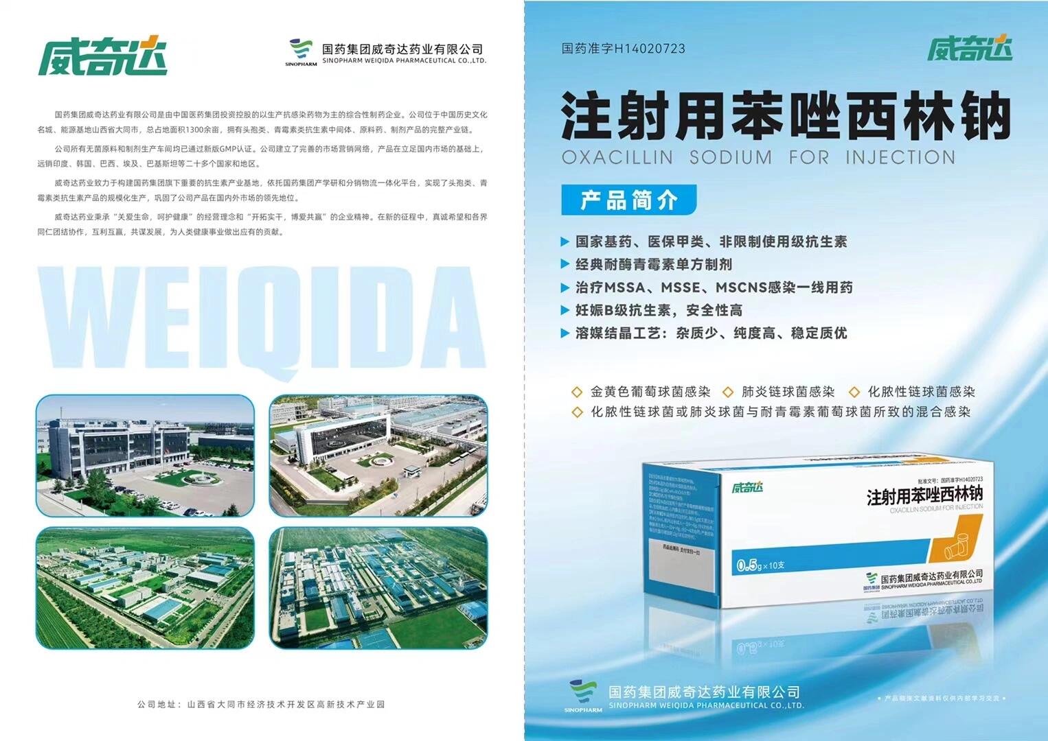 听说代表们又得放假两三个月. 代表放假了我们怎么玩