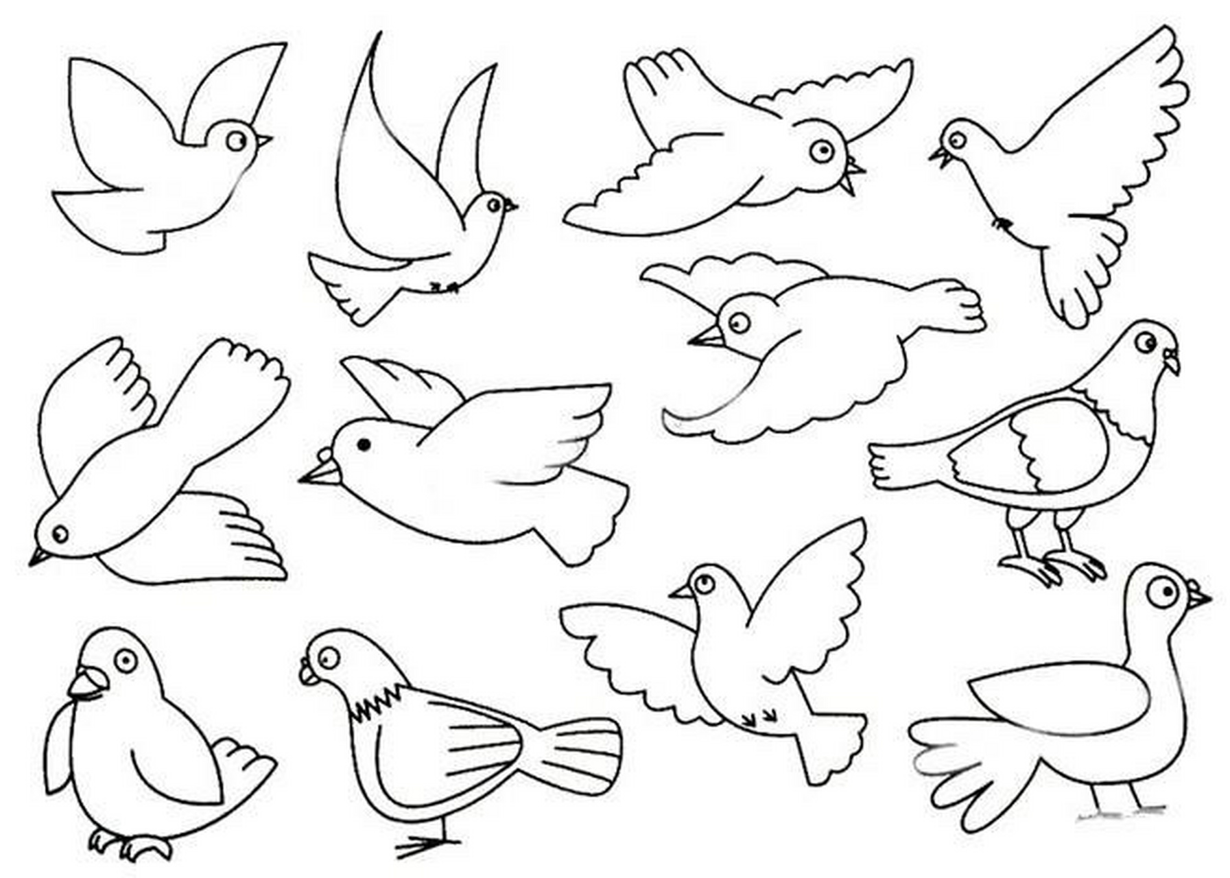 画一个会飞的鸽子图片